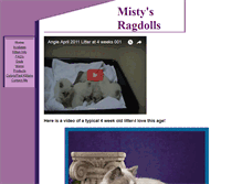 Tablet Screenshot of mistysragdolls.com